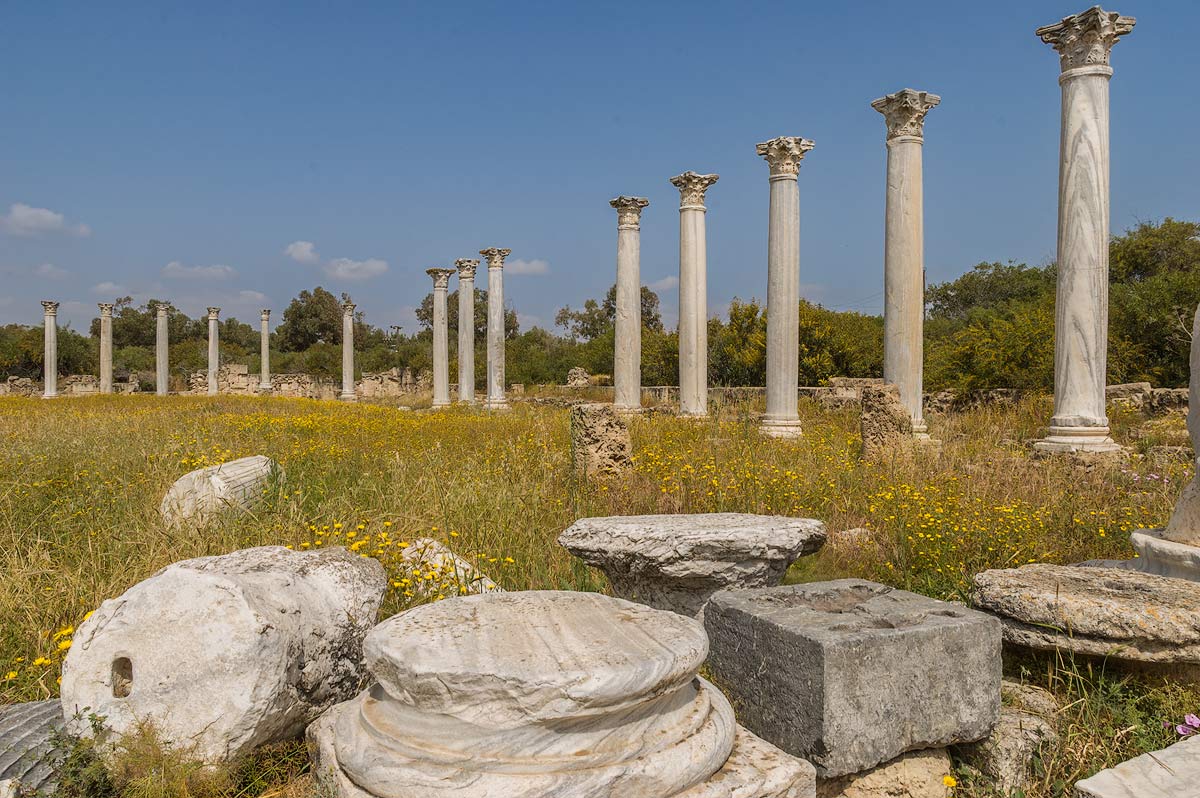 Salamis