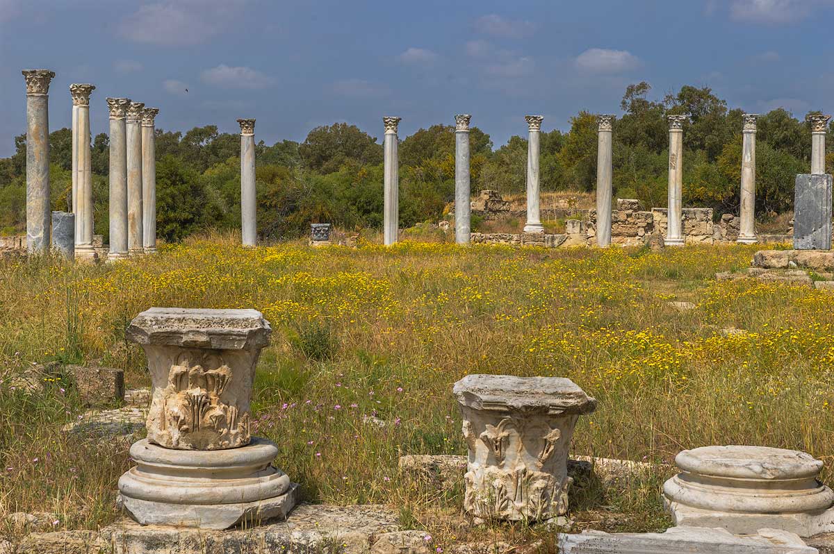 Salamis