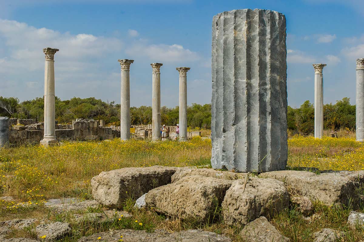Salamis