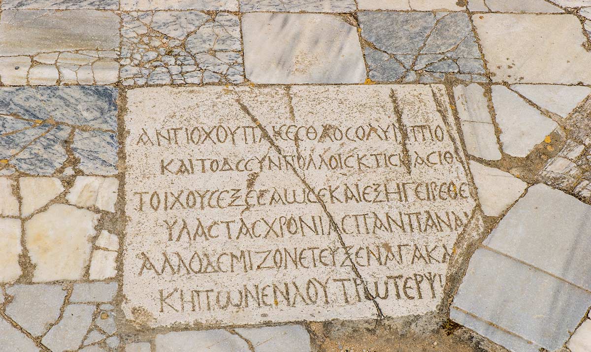 Salamis