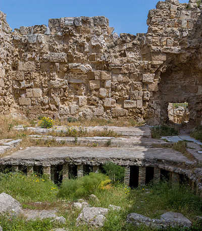 Salamis
