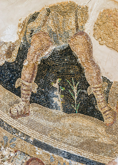 Die Ruinenlandschaft von Salamis: Reste von Mosaiken in den Badeanlagen