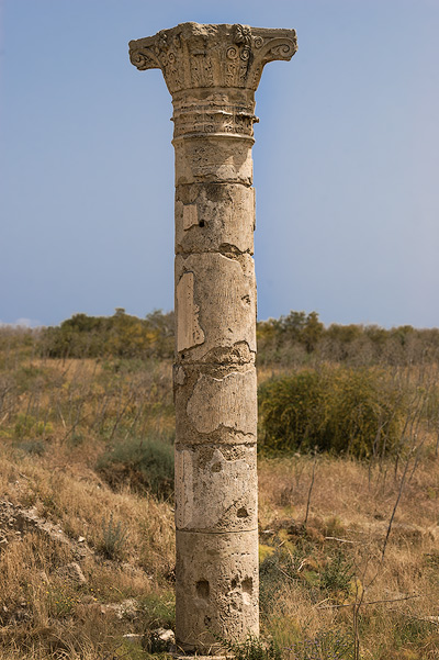 Salamis