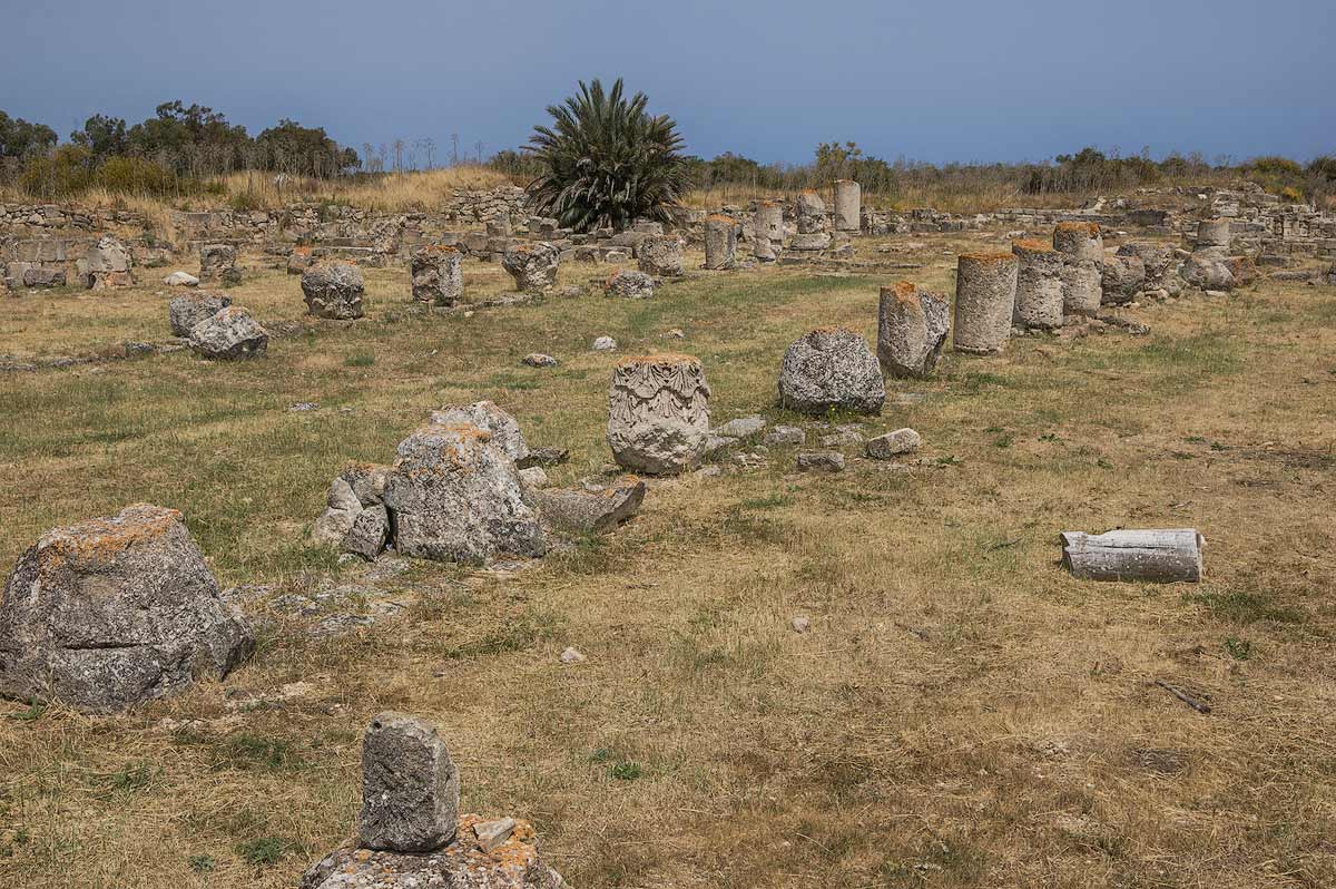 Salamis