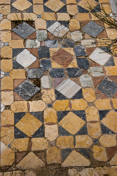 Salamis