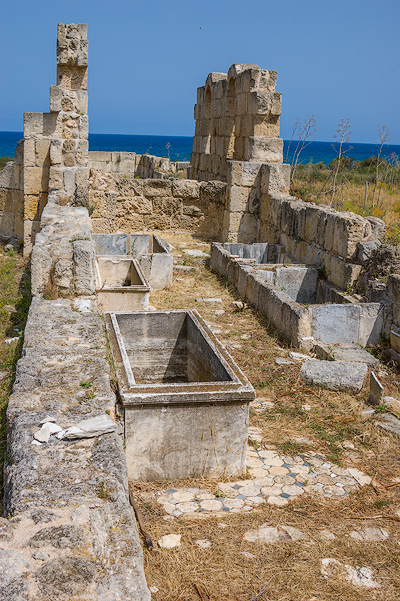 Salamis
