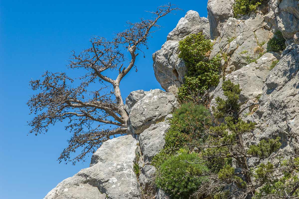 St. Hilarion