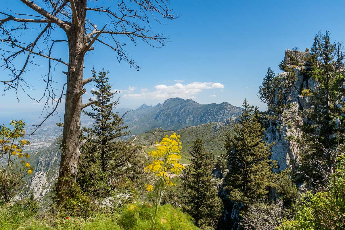 St. Hilarion