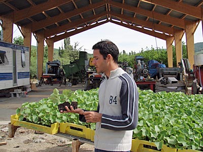 Frankreich - Hochprovence - Bauer mit Melonensetzlingen