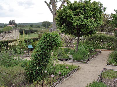 Frankreich - Provence - Gartenanlage von Salagon