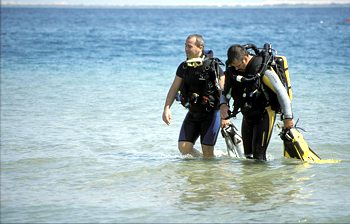 Ägypten Rotes Meer Taucher am Strand