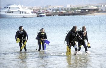 Ägypten Rotes Meer am Strand