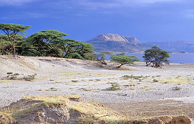 Südäthiopien - Nech-Sar Nationalpark