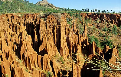 Südäthiopien - verwitterte rote Zinnen im Gasergio- Canyon