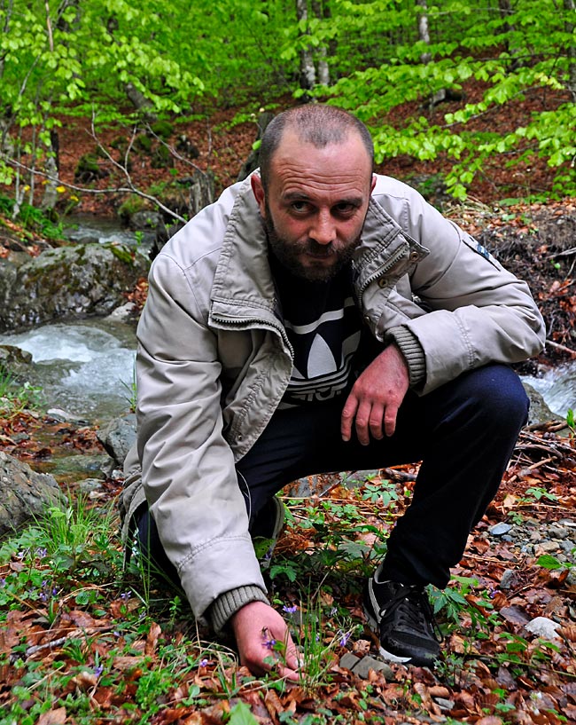 Bergführer Laurenc Tupi beim Erklären der Fauna, Nationalpark Shebenik-Jabllanice, im Osten von Albanien