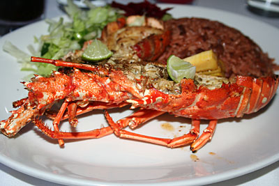 Barbuda - Lobster