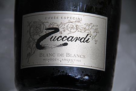 Argentinien - Weinanbau bei Mendoza - Weisswein