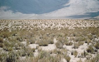 Argentinien Nubes Puna