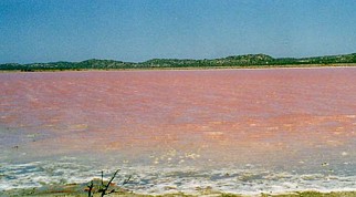 Australien / Pink Lake
