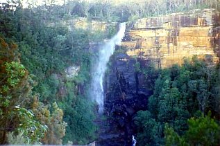 Australien / Fitzroy Falls