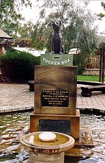 Auastralien / Canberra / Tuckerbox