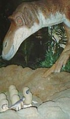 Australien / Questacon Museum