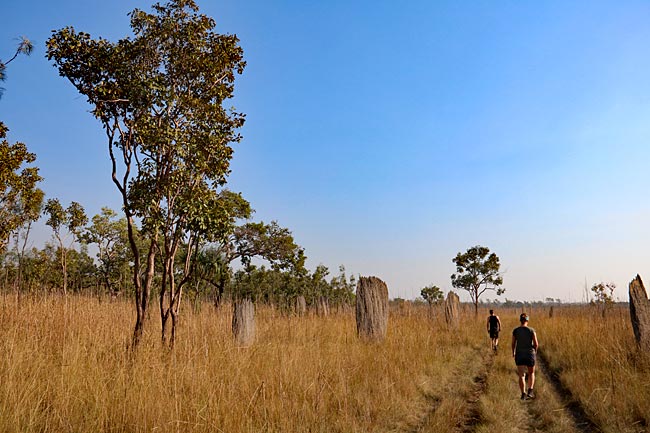 Australien - Litchfield Nationalpark