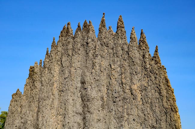 Australien - Litchfield Nationalpark