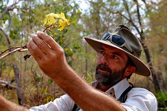 Australien - Litchfield Nationalpark