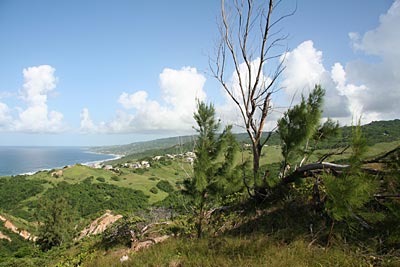Barbados - Landschaft zwischen Chalky Mountain und Barclays Park