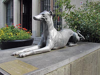Belgien - Wallonien - Nivelles - liegender Hund