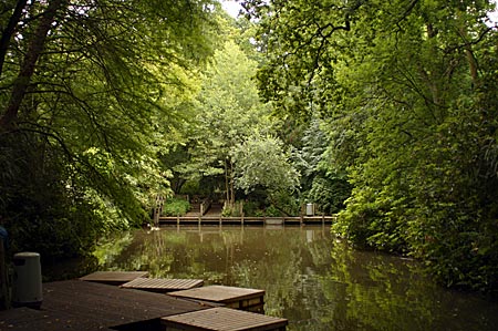 Belgien - Neerpelt: In der Domäne Dommelhof