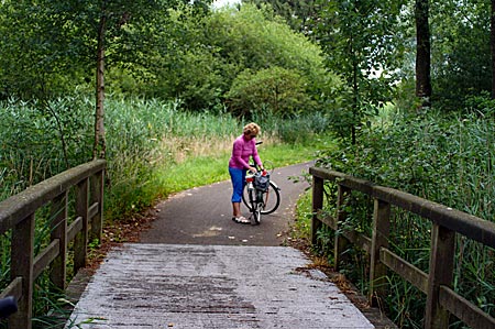 Belgien - Neerpelt: An der Dommel