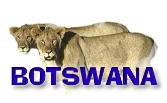 Botswana - Elefantenland
