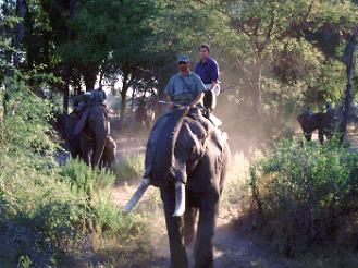 Botswana / Elefantenreiten