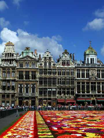 grandplace-blumenteppich