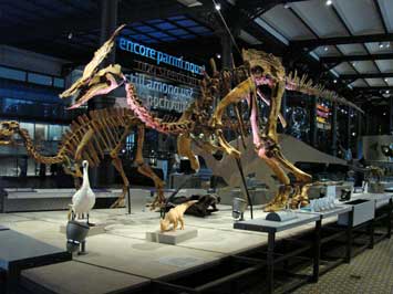 dino3