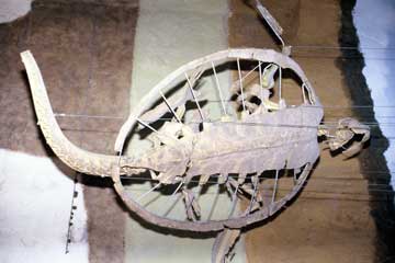 urschildkroete