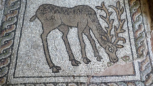 Bulgarien - Plovdiv Kleine Basilika römisches Fußbodenmosaik Taufbecken Hirsch