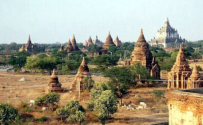 Myanmar / Tempelfelder von Bagan