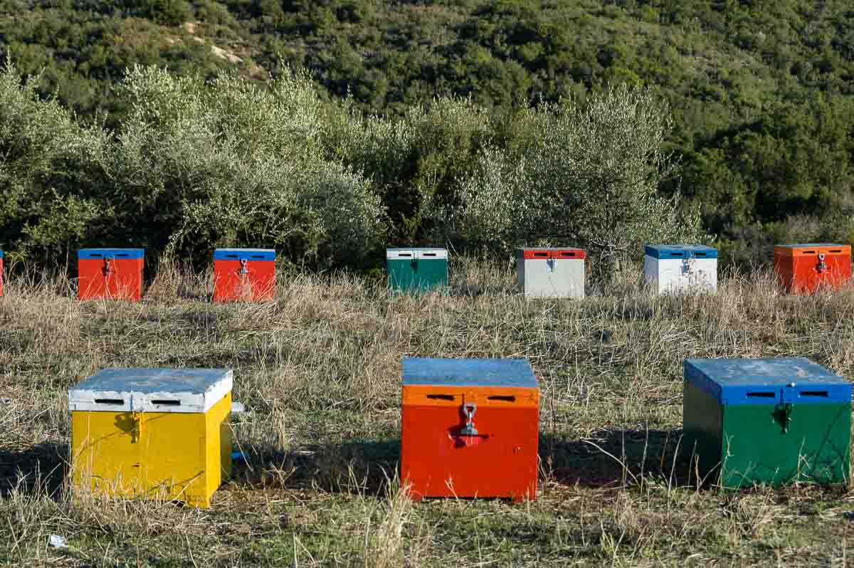 Chalkidiki: Agia Paraskevi, Bienenstöcke am Wegesrand