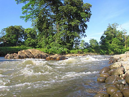 Costa Rica - Fluss