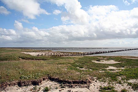 Dänemark - Mandö - Blick über das Wattenmeer