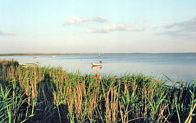 Dänemark - Mön - Nichts, was die Harmonie stört: Blick von Nyord auf die Ostsee