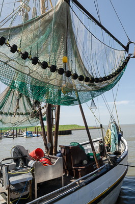 Dangast, Krabbenkutter