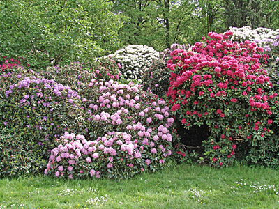 Reiseführer Dresden - Strehlen - Großer Garten