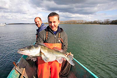 Deutschland - Mecklenburger Seenplatte - Fischer mit einem Zander auf der Müritz 