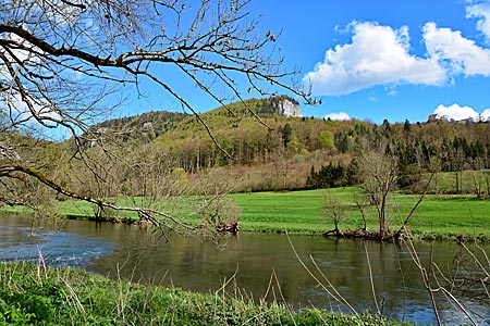 Blick auf die junge Donau