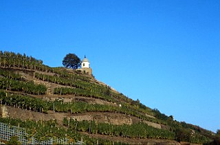 Dresden / Belvedere am Jakobstein