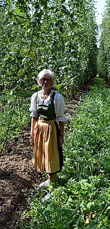 Kelheim - Vor der Bierverkostung geht’s in den Hopfengarten: Hopfenbäuerin Elisabeth Stiglmaier vor den annähernd sieben Meter hohen Hopfenreben